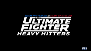 Watch The Ultimate Fighter Season 28 Episode 10 11/14/18
