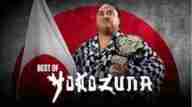 Watch WWE The Best of Yokozuna Full Show Replay