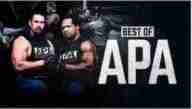 WWE The Best Of APA