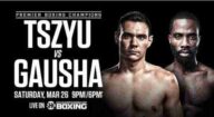 Boxing Tszyu vs Gausha