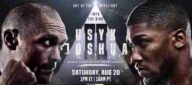 Boxing Usyk Vs Joshua 2