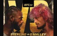 UFC 292 Sterling vs O'Malley